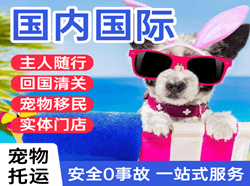 石家庄航空快递国际宠物托运 【国